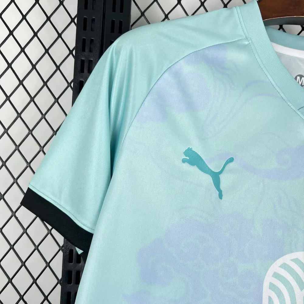 2025/2026 Camiseta Edición Especial Selección Nacional de Marruecos AAA calidad aficionado