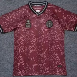 Camiseta de Fútbol Edición Especial Selección Nacional de Dinamarca 2024/2025 Calidad Tailandesa