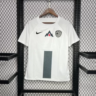 2024-2025 Slovenia National Team Away Football Shirt AAA fan-grade
