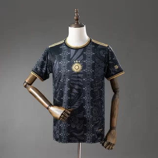 2026/2027 Argentina Camiseta Edición Especial AAA Grado Fan