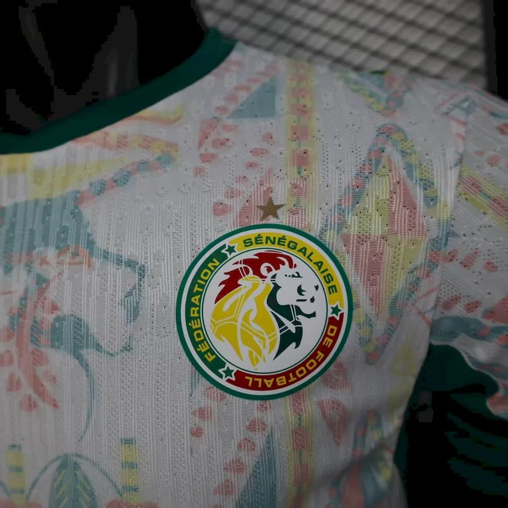 Camiseta de Fútbol Local de la Selección Nacional de Senegal para la Copa del Mundo Versión Jugador 2026