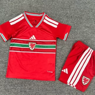 Camiseta Local de Gales 2026 Calidad Tailandesa Talla Infantil