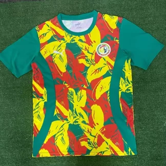 2024/2025 Camiseta de Fútbol Entrenamiento Selección Nacional de Senegal AAA calidad fan