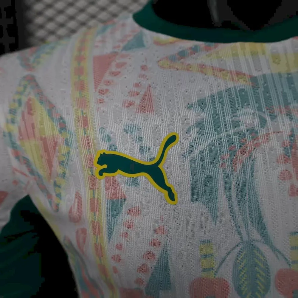 Camiseta de Fútbol Local de la Selección Nacional de Senegal para la Copa del Mundo Versión Jugador 2026