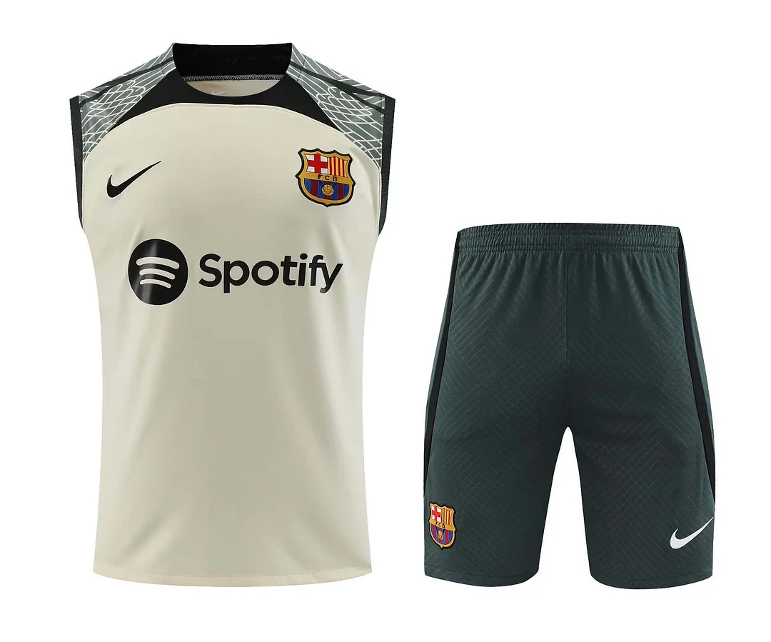 Camiseta de Entrenamiento sin Mangas Barcelona 2023/2024 Calidad Tailandesa