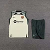 Camiseta de Entrenamiento sin Mangas Barcelona 2023/2024 Calidad Tailandesa