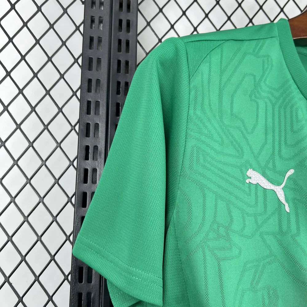 2025/2026 Palmeiras Ropa de entrenamiento verde Camiseta de fútbol 1:1 Calidad tailandesa
