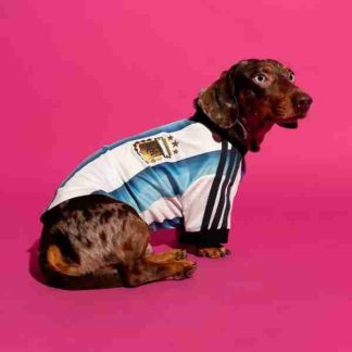Equipacion Argentina Para Mascotas 2026