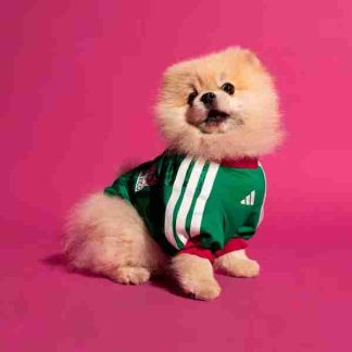 Equipacion México Para Mascotas 2026