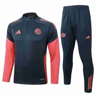 Sudadera Entrenamiento Bayern Munich 2025 26 Gris
