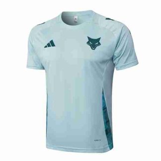 Tailandia Equipacion Cruzeiro EC Entrenamiento 2025 2026 Azul
