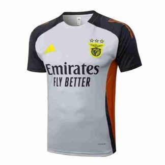 Tailandia Equipacion Benfica Entrenamiento 2025 2026 Gris