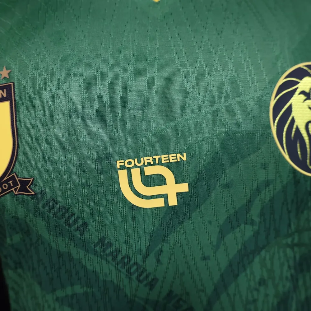 2025/2026 Versión Jugador Camerún Camiseta de Fútbol Local Calidad Tailandesa