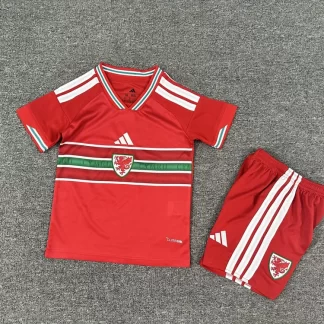 Camiseta de Fútbol Local de la Selección de Gales 2026 1:1 Calidad Tailandesa Talla Infantil