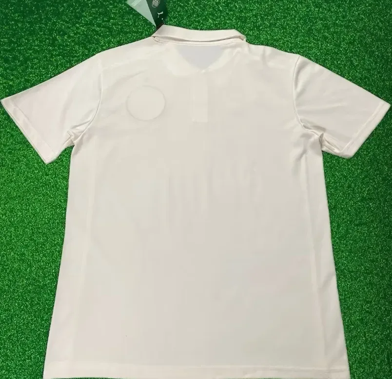 2025/2026 Palmeiras Edición Especial 01 Camiseta de Fútbol Calidad Tailandesa