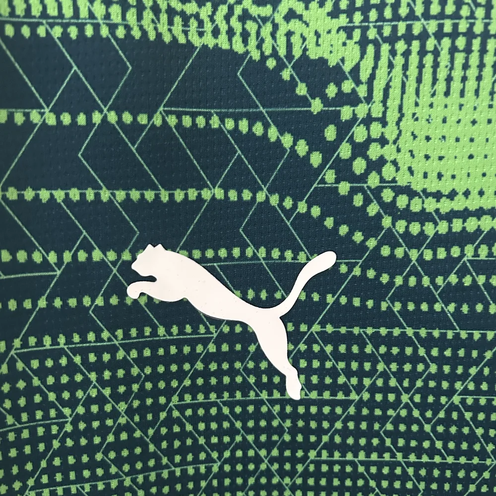 2025 Portugal Camiseta de Entrenamiento Verde AAA Grado Fan