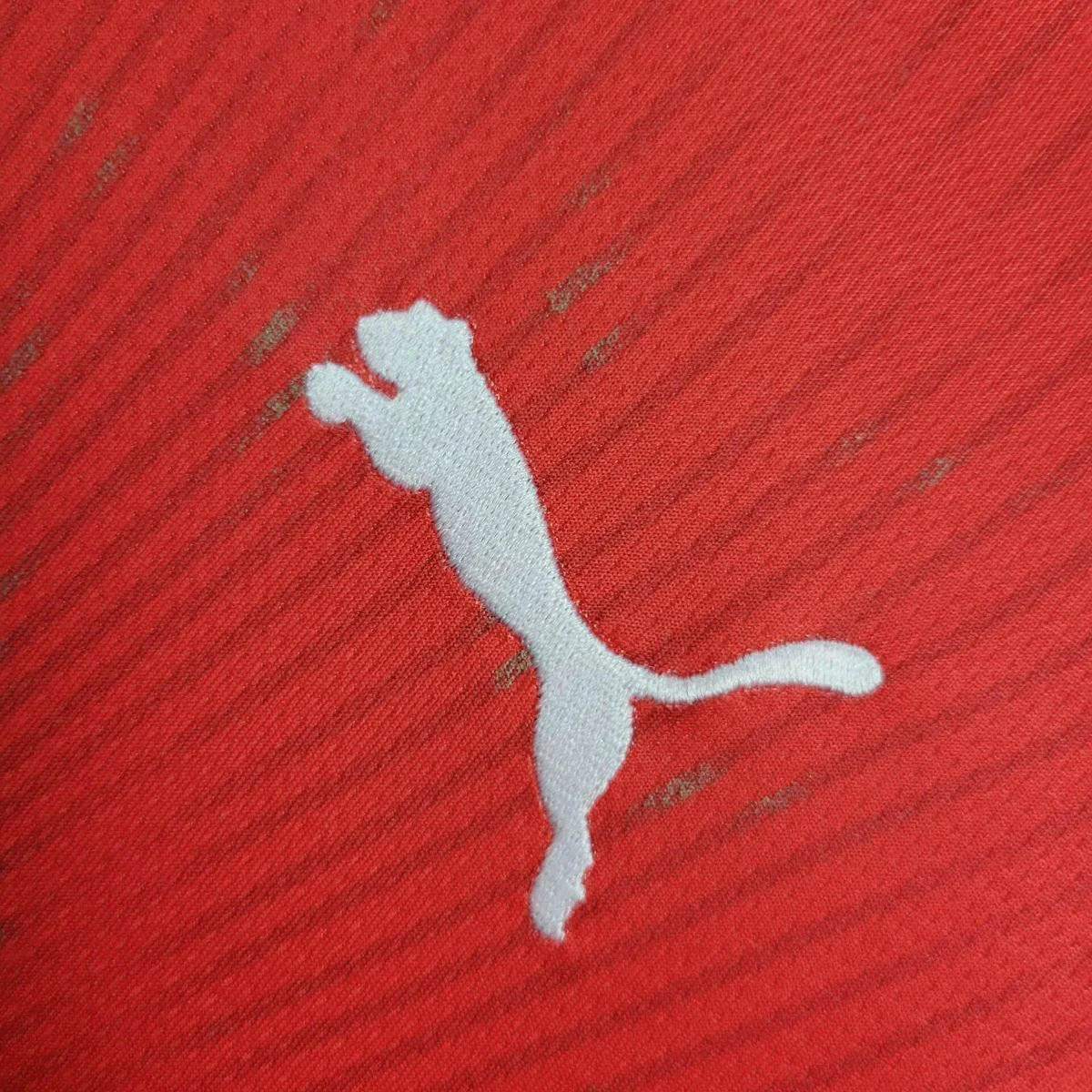 2026 Camiseta Local de la Selección de Suiza 1:1 Calidad Tailandesa