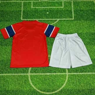 2026 Camiseta de Fútbol de la Selección de Noruega Local AAA Grado Fan Talla Infantil