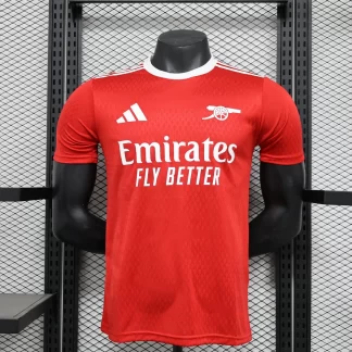 2025/2026 Versión Jugador Camiseta de Fútbol Edición Especial 01 del Arsenal Calidad Tailandesa