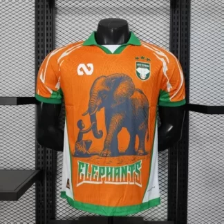 2025/2026 Versión Jugador Costa de Marfil Selección Nacional Edición Especial 02 Camiseta Fútbol Calidad Thai